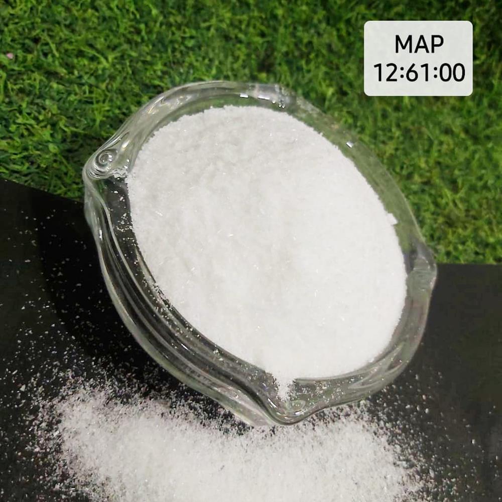 Mono Ammonium Phosphate (MAP) 12:61:00