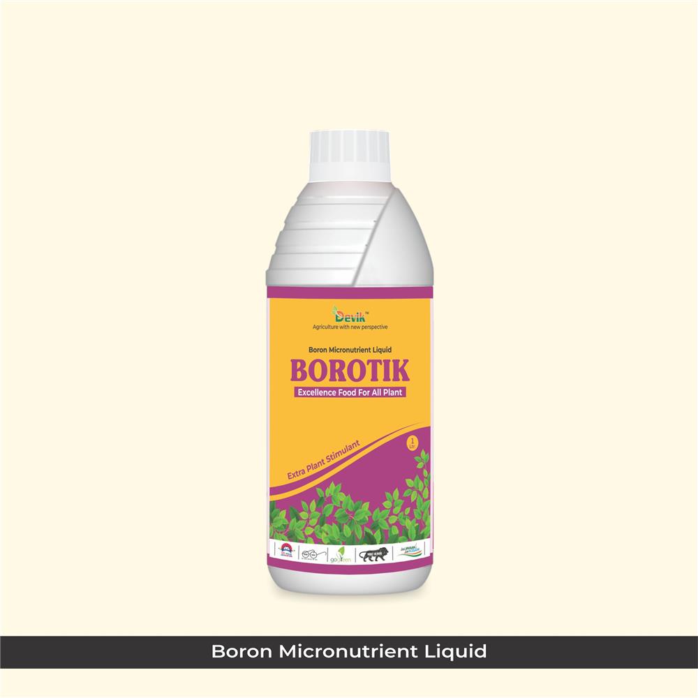 BOROTIK